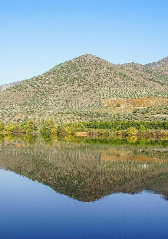 Cruzeiro no rio douro
